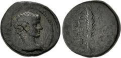 Roman Provincial PHRYGIA, Hierapolis. Gaius Julius Caesar. 20 BC-AD 14. Æ (16mm, 3.51 g, 12h). Diphilos, philopatris. Struck circa 5 BC. Bare head of Gaius Julius Caesar right / Laurel branch. Johnsto