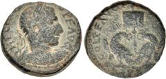 Roman Provincial JUDAEA, Caesarea Maritima. Trebonianus Gallus. 251-253 CE. Æ (23mm, 10.61 g, 1h). Laureate, draped, and cuirassed bust right, seen from behind / Two eagles with closed wings, facing i