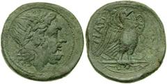 APULIA, Teate. Æ Nummus (38.40 gm). Estimate $1500 APULIA, Teate. Æ Nummus (38.40 gm). Head of Zeus right, wearing oak wreath / TIATI, eagle standing right on thunderbolt; N in right field. SNG ANS 12