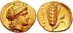 LUCANIA, Metapontion. Time of Alexander the Molossian. Circa 334-330 BC. AV Third-Stater (2.61 gm). Achaean standard. Struck circa 334-332 BC. Estimate $2000 LUCANIA, Metapontion. Time of Alexander th