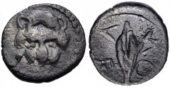 SICILY, Leontini. Circa 476-466 BC. AR Hemiobol (8mm, 0.28 g). Facing lion scalp / Barley grain. Cf. Boehringer, Münzgeschichte 19 (obol); cf. HGC 2, 687 (obol); Roma IV, lot 1078 corr. (incorrect ref
