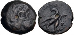 PTOLEMAIC KINGS of EGYPT. Ptolemy VIII Euergetes II (Physcon). 145-116 BC. Æ Hemiobol(?) (18mm, 3.91 g, 12h). Kyrene mint. Diademed head of Zeus-Ammon right / Eagle with closed wings standing right on