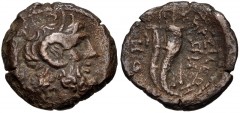 PTOLEMAIC KINGS of EGYPT. Kleopatra III & Ptolemy IX Soter II (Lathyros). 116-107 BC. Æ Hemiobol(?) (18mm, 3.54 g, 12h). Kyrene mint. Diademed head of Zeus-Ammon right / Double cornucopia bound with f