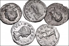 ROMAN. Imperial. Lot of five (5) AR Denarii from Septimius Severus to Julia Maesa. Includes: Septimius Severus // Elagabalus (2) // Julia Maesa (2). Each features a different reverse type. Good Fine–G