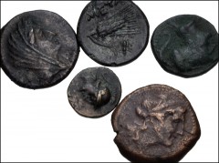 GREEK. Magna Graecia & Sicily. Lot of five (5) bronze from Lucania. Includes: (a) Metapontion. Circa 300-250 BC. Æ 14mm. Helmeted head of Athena / Three barley grains. HN Italy 1686 // (b) Æ 16mm. Vei