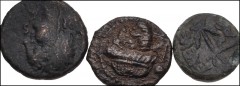 GREEK. Magna Graecia & Sicily. Lot of three (3) bronzes of Paestum from the RBW Collection. Includes: LUCANIA, Paestum (Poseidonia). Second Punic War. 218-201 BC. Æ Uncia (15mm, 2.74 g, 8h). Diademed 