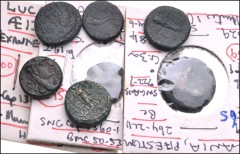 GREEK. Magna Graecia & Sicily. Lot of eight (8) bronzes of Paestum from the RBW Collection. Includes: GREEK: Æ 20mm. HN 1184 // Æ Sextans. HN 1193 // Æ Triens. HN 1216 // Æ Semis. HN 1237 // Æ Semis. 