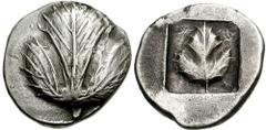 SICILY, Selinos. Circa 515-470 BC. AR Didrachm (8.53 gm). Estimate $500 SICILY, Selinos. Circa 515-470 BC. AR Didrachm (8.53 gm). Trilobate selinon leaf / Palm-like selinon leaf in incuse square. Arno
