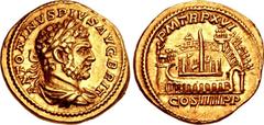 Caracalla. AD 198-217. AV Aureus (20mm, 6.90 g, 6h). Rome mint. Struck AD 213. ANTONINVS PIVS AVG BRIT, laureate, draped, and cuirassed bust right / P M TR P XVI, COS IIII P P in exergue, view of the 