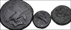 GREEK. Magna Graecia & Sicily. Lot of three (3) Sicilian bronzes. Includes: Akragas (2 coins) // Kamarina. Average VF, green patinas. LOT SOLD AS IS, NO RETURNS. Three (3) coins in lot. From the JMG C