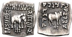 Oriental Greek BAKTRIA, Greco-Baktrian Kingdom. Apollodotos I Soter. Circa 180-160 BC. AR Drachm (17mm, 2.43 g, 12h). Elephant standing right; monogram below / Zebu standing right; monogram below. Bop
