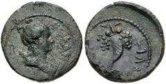 Roman Provincial LYDIA, Cilbiani Inferiores (Nicaea). Pseudo-autonomous issue. temp. Antonines, AD 138-192. Æ (17.5mm, 4.02 g, 12h). Draped bust of Artemis right / Cornucopia with bunches of grapes. U