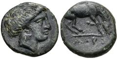Greek THESSALY, Larissa. Mid-late 4th century BC. Æ Dichalkon (16mm, 2.97 g, 3h). Head of the nymph Larissa right / ΛΑΡΙ-[ΣΑΙΩΝ], horse right, about to lie down. Rogers 288; BCD Thessaly II 390.2; Lin