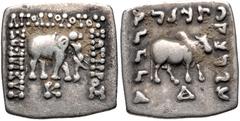 Oriental Greek BAKTRIA, Greco-Baktrian Kingdom. Apollodotos I Soter. Circa 180-160 BC. AR Drachm (16mm, 2.39 g, 12h). Elephant standing right; (PK) monogram below / Zebu standing right; (ΔA) below. Bo