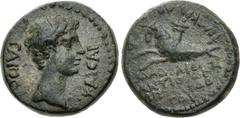 Roman Provincial LYDIA, Philadelphia. Gaius (Caligula). AD 37-41. Æ (18mm, 4.83 g, 12h). Antiochos, son of Apollodotos, "Philokaisar". Bare head right / Capricorn left, with cornucopia on its back; mo