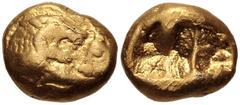 Greek KINGS of LYDIA. Kroisos. Circa 564/53-550/39 BC. AV Third Stater (9.5mm, 2.67 g). Light standard. Sardes mint. Confronted foreparts of lion and bull / Two incuse square punches of unequal size. 