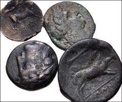 Large Lots GREEK. Magna Graecia & Sicily. Lot of four (4) bronze from Apulia and Campania. Includes: (a) APULIA, Arpi. Circa 325-275 BC. Æ 21mm. Head of Zeus / Boar. HN Italy 642 // (b) CAMPANIA, Neap