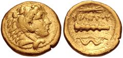 Greek KINGS of MACEDON. temp. Philip II – Alexander III. Circa 340/36-328 BC. AV Quarter Stater (11mm, 2.09 g, 4h). In the name and types of Philip II. Pella mint. Head of Herakles right, wearing lion