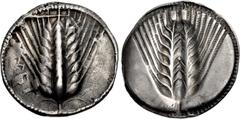 Greek LUCANIA, Metapontion. Circa 540-510 BC. AR Nomos (28mm, 7.99 g, 12h). Ear of barley with eight grains; MET down left field / Incuse ear of barley with eight grains. Noe Class I, 3; HN Italy 1459