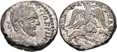 Selections from the Michel Prieur Collection COELESYRIA, Heliopolis. Macrinus. AD 217-218. AR Tetradrachm (25mm, 15.07 g, 12h). Laureate head right / Eagle standing facing, head and tail left, with wi