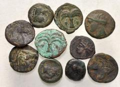 Large Lots GREEK. Magna Graecia & Sicily. Lot of sixteen (16) Siculo-Punic bronze issues. Includes: various types. Fair to Fine, many with encrustation and roughness. LOT SOLD AS IS, NO RETURNS. Sixte