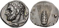 Greek LUCANIA, Metapontion. Circa 290-280 BC. AR Nomos (20mm, 7.91 g, 7h). Bearded head of Herakles left, wearing tainia and lion skin tied at neck; club over far shoulder / Barley ear with leaf to ri
