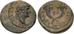 Roman Provincial JUDAEA, Herodians. Agrippa II, with Domitian as Caesar. Circa 50-100 CE. Æ 2 Units (17mm, 3.28 g, 12h). Caesarea Panias mint. Dated RY 27 of the first era of Agrippa II (76/7 CE). Lau