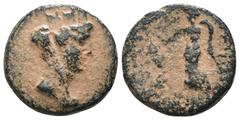 Greek Syria. Apameia. (39-38 BC). autonomous Æ Tetrachalkon. Weight 3.84 gr - Diameter 16 mm