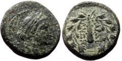 Greek Lydia, Sardes,AE, (Bronze,3.89 g 14 mm), 2nd-1st centuries BC. Lydia, Sardes,AE, (Bronze,3.89 g 14 mm), 2nd-1st centuries BC. Obv: Laureate head of Apollo, right. Rev: ΣAPΔIA / NΩN, Club right w