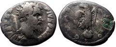 Roman Imperial Divus Pertinax (193) AR Denarius, Rome. Divus Pertinax (193) AR Denarius, Rome. Obv: Obv: DIVVS PERT - PIVS PATER Head bare right. Rev: CONSECRATIO Eagle standing right, head left, on g