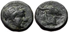 Greek coins Aeolis, Aegae AE (Bronze, 1.21g, 10mm) ca 300-200 BC Obv: Laureate head of Apollo right. Rev: AIΓAE, Head of goat right. Ref: SNG Copenhagen 1.