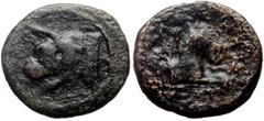 Greek Seleukid Kings of Syria, Demetrios I (162-150 BC) AE (Bronze, 7.14g, 19mm) Uncertain mint in Cilicia. Obv: Head of a dog left Rev: BASILEWS right, ÐHMHTPIOY SWTHROS left, forepart of a griffin r