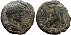 Roman Provincial *Just 4 specimens known to RPC, 1 specimen recorded by acsearch* Syria, Laodicea ad Libanum AE (8.18g, 22mm) Septimius Severus for Caracalla (Augustus) Obv: Μ ΑΥΡ ΑΝΤΩΝΙΝ[? ]; laureat