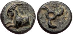 Greek Dynasts of Lycia, Perikles, AE (bronze, 1,18 g, 11 mm) Obv: Forepart of goat left Rev: Triskeles Ref: cf. BMC 163