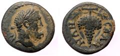 Roman Provincial Lydia, Sala, 1/3 assarion (Bronze, 15,0 mm, 1,73 g), pseudo-autonomous issue, 2nd-3rd centuries. Obv: Laureate head of bearded Herakles to right. Rev: CAΛΗ-ΝΩΝ, grape bunch on vine. R