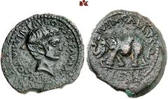 DIE SAMMLUNG DR. W. R., TEIL 7 AFRICA. ZEUGITANA. Æ, 6/5 BC, HADRUMETUM, Proconsul Fabius Africanus and Quaestor propraetore Livinius Gallus, 24 mm, 26 mm, 7.04 g. · AFR ·FA · MAX C[OS], PROCOS, VII V