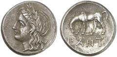 TETRADRACHMEN DES HELLENISMUS DIE SAMMLUNG DIETER GRUNOW, BERLIN GRIECHEN THRACIA PANTIKAPAION AR-Tetradrachme, 355/340 v. Chr.; 15,67 g. Apollokopf l. mit Lorbeerkranz//Pferd grast l. MacDonald 49. V