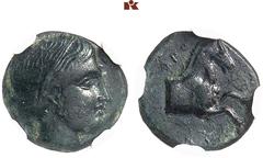 DIE SAMMLUNG DR. W. R., TEIL 3 MACEDONIA. KÖNIGREICH. Alexander II., 369-367 v. Chr. Æs, makedonische Münzstätte; 1,57 g. Weiblicher Kopf r. (Artemis?)// Pferdeprotome r. Siehe C. Hersh, AVρία Αδημοσί