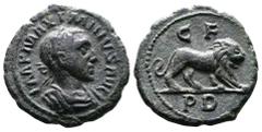 Roman Provincial Thrace, Deultum, Maximinus I Thrax, 235-238 AD. AE (19mm, 4,16g.). IMP MAXIMINVS AVG, laureate, draped and cuirassed bust of Maximinus I to right. Rev. C F P D, lion walking to right.