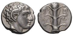 Cyenaica. Cyrene. Early 3rd century BC. Didrachm, 7.62g. (h). Obv: Head of Karneios left. Rx: Silphium plant with KY-PA to left and right, tripod symbol to left and EΠ monogram to right. Ward Coll. 91