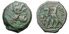 Ptolemaic Kingdom. Ptolemy VIII Euergetes II as King of Cyrenaica. (163-145 BC). Bronze 20 mm (9.04 gm). CyreneHead of Zeus Ammon right with ram's horn, wearing taenia with basileion / ΠΤΟΛΕΜΑΙΟΥ ΒΑΣΙ