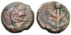 Cyenaica. Cyrene. Koinon Issue. AE 22, 12.59g. Cyenaica, Cyrene, c. 250-246 BC. Obv: Diademed head of Zeus Ammon right. Rx: Κ-Ο/Ι-Ν/Ο-Ν Silphium plant. BM 10, pl. 27, 18. Laffaille Coll. 628. About VF