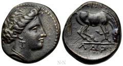 Greek Coins THESSALY. Larissa. Ae Dichalkon (Mid-late 4th century BC). Obv: Head of the nymph Larissa right. Rev: ΣΑΙΩΝ / ΛΑΡΙ. Horse standing right, preparing to lie down. BCD Thessaly II 390.1; HGC 