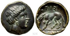 Greek Coins THESSALY. Larissa. Ae Chalkous (Late 4th-early 3rd century BC). Obv: Head of the nymph Larissa right. Rev: ΛΑΡIΣ / AIΩN. Horse standing left, preparing to lie down. BCD Thessaly II 392.1; 