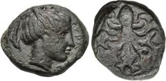 SICILY. Syracuse. Second Democracy (circa 466-405 BC). Tetras. Obv: ΣYPA. Head of Arethusa right; within two dolphins. Rev: Octopus, three pellets around. SNG ANS 376. Condition: Very fine. Weight: 3,