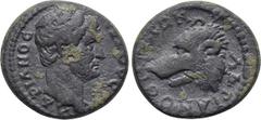 LYDIA. Stratonicaea-Hadrianopolis. Hadrian (117-138). Ae. Obv: ΑΔΡΙΑΝΟC ΑΓΟVC. Bare head right. Rev: ΑΔΡΙΑΝΟC Μ[...]Ν. Head of hound or wolf left. SNG Copenhagen -; SNG von Aulock -; BMC -; Isegrim -;