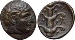 CYRENAICA. Cyrene. Ae (3rd century BC). Obv: Head of Apollo Karneios with horn of Ammon right. Rev: K - Y / P - A. Silphium plant. Müller 237. Condition: Very fine. Weight: 6.46 g. Diameter: 21 mm.