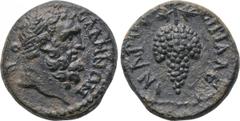 LYDIA. Sala. Pseudo-autonomous. Time of Septimius Severus to Caracalla (193-217). Ae. Alexandros, magistrate. Obv: CAΛHNΩN. Bearded and laureate head of Hercules right. Rev: ЄΠI AΛЄXANΔPOV. Grape bunc