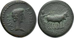 LYDIA. Tralles (as Caesarea). Caius (Caesar, 20 BC-4 AD). Ae. Obv: ΓΑΙΟΣ ΚΑΙΣΑΡ. Bare head right. Rev: ΚΑΙΣΑΡΕΩΝ. Colonist plowing with yoke of oxen right. RPC I 2649 var. (star on obv.); SNG von Aulo