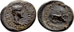 Roman Provincial Coins LYDIA. Philadelphia. Caligula (37-41). Ae. Artemon Hermogenous, magistrate. Obv: ΓΑΙΟC ΚΑΙCΑΡ ΓЄΡΜΑΝΙΚΟC. Laureate head right. Rev: ΑΡΤЄΜΩΝ ЄΡΜΟΓЄΝΟΥC ΝЄΟΚΑΙCΑΡЄΩΝ. Panther adva